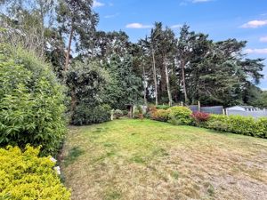 Photo 24- click for photo gallery